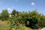  (Soest Duinen)   Soest